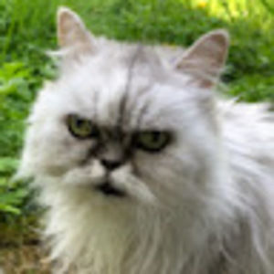 Meet your Posher, Hope